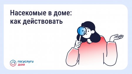 Насекомые в доме: как действовать