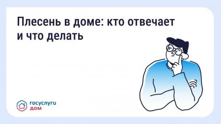 Плесень в доме