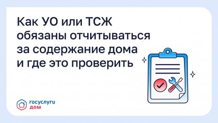 Как УО или ТСЖ обязаны отчитываться за содержание дома